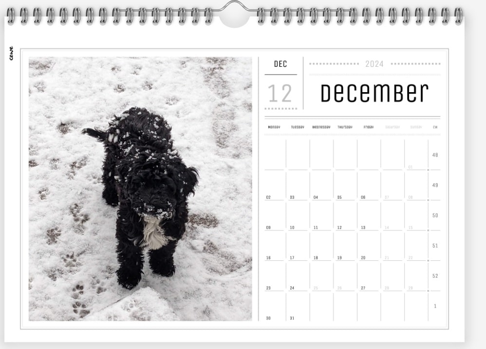 personalised wall calendar dog