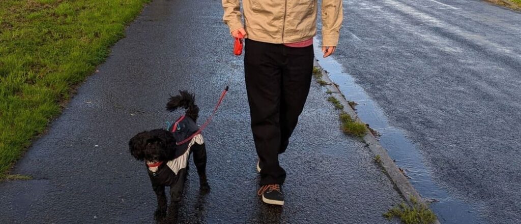 13MWZ in Shadow Black